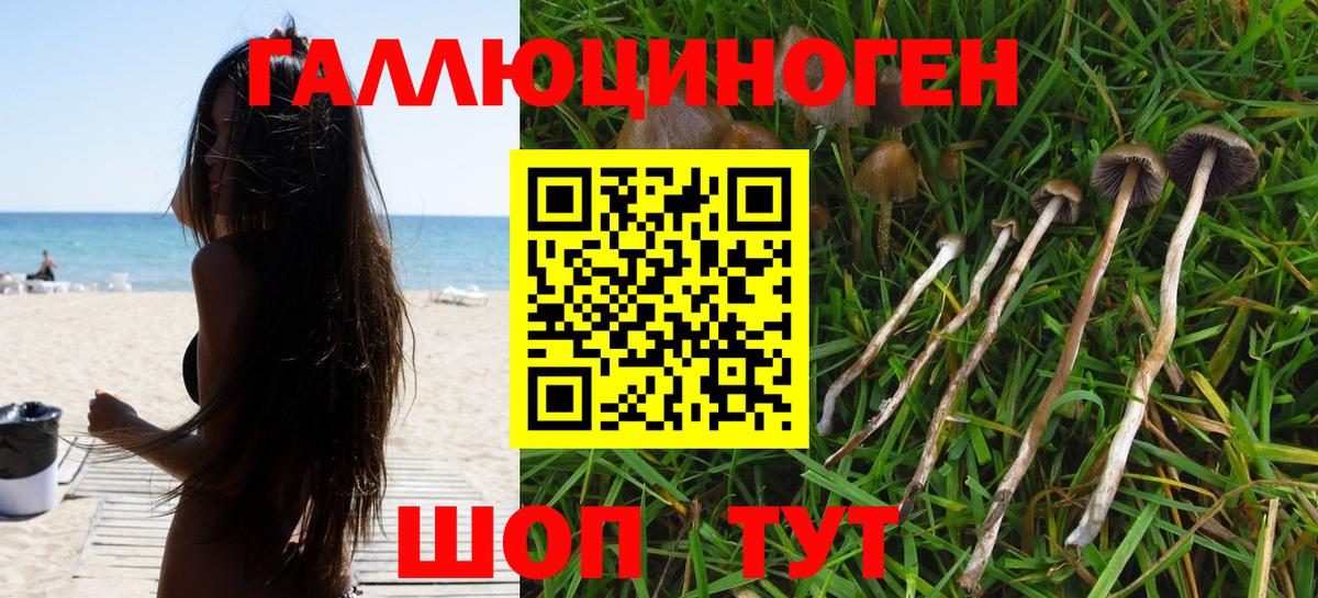 Галлюциногенные грибы GOLDEN TEACHER Узловая