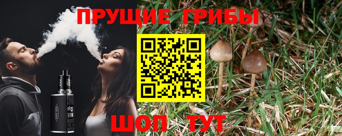 Узловая  Псилоцибиновые грибы Cubensis  Вход с VPN  Галлюциногенные грибы GOLDEN TEACHER 